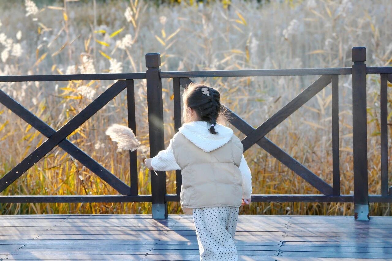 So Romantic! Autumn Magic in the Tongzhou Reeds