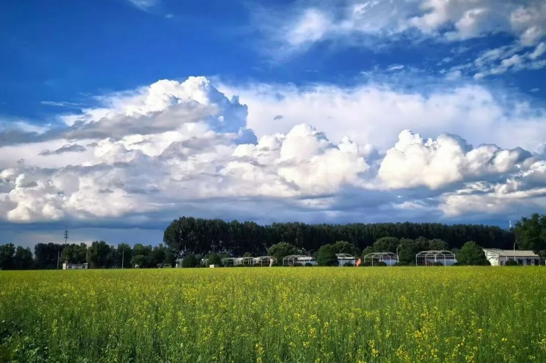 This Summer, Unleash Your Creativity in Songzhuang, Tongzhou | Photo-Worthy Check-in Edition