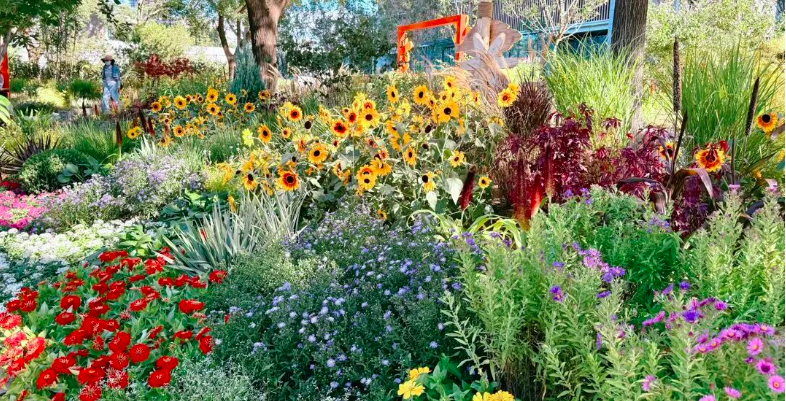 A Sea of Blossoms Awaits! Your BMC Autumn Flower Viewing Guide